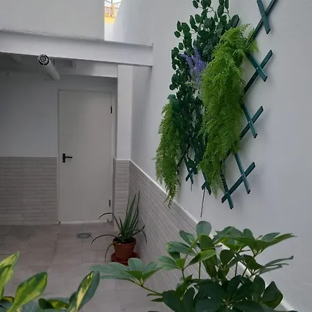 Apartment De La Haya & Con Jacuzzi, Junto Al Teatro *