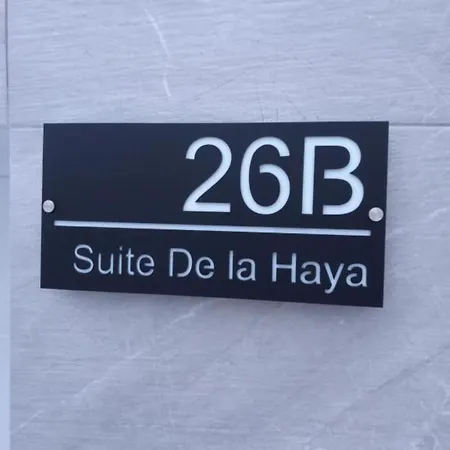 De La Haya & Con Jacuzzi, Junto Al Teatro Appartement *