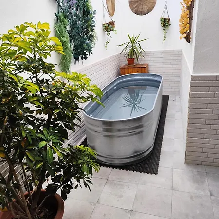 Apartament De La Haya & Con Jacuzzi, Junto Al Teatro Mérida