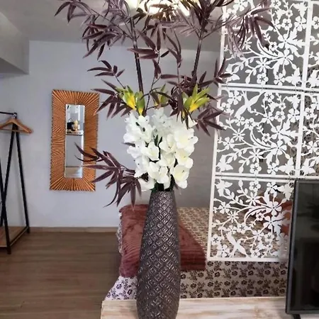 De La Haya & Con Jacuzzi, Junto Al Teatro *