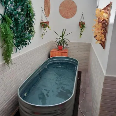 De La Haya & Con Jacuzzi, Junto Al Teatro 아파트 *