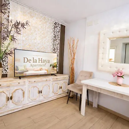 De La Haya & Con Jacuzzi, Junto Al Teatro Apartment